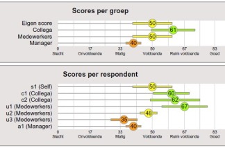 samenvatting per competentie met standaarddeviatie